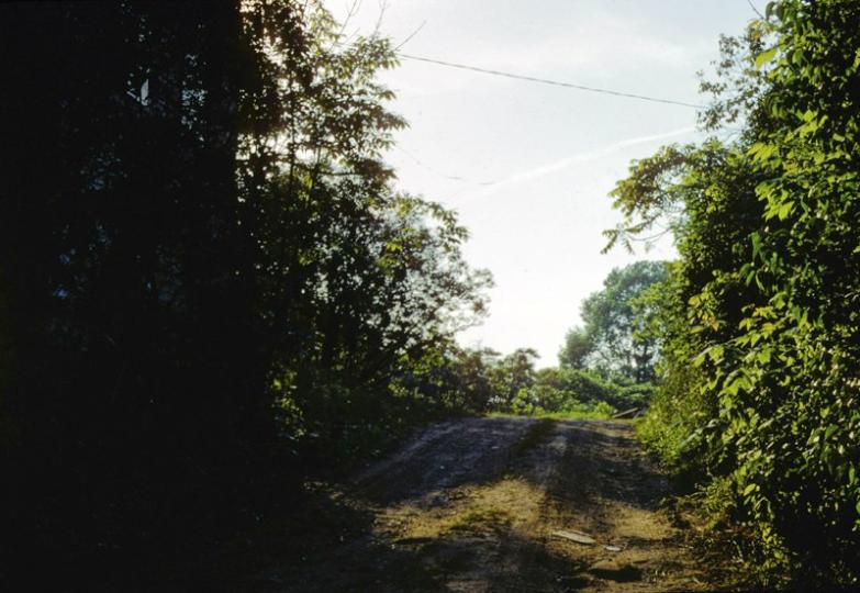 Cherry Hill driveway