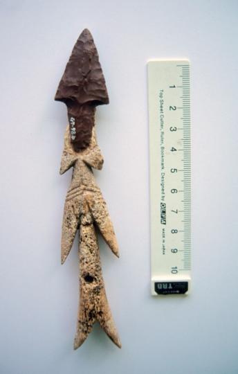 Usu 10 Carved Bone